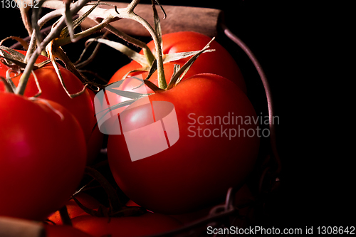 Image of big red tomatoes on black background in light dark ready to cook