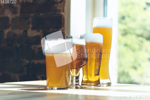 Image of Glasses of different kinds of beer, time for oktoberfest