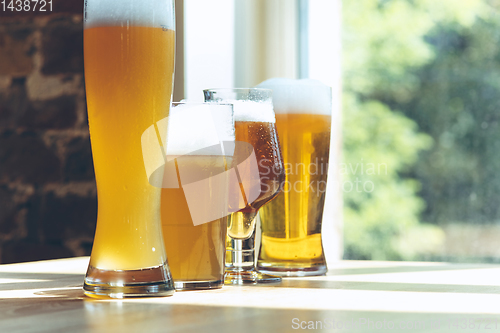 Image of Glasses of different kinds of beer, time for oktoberfest