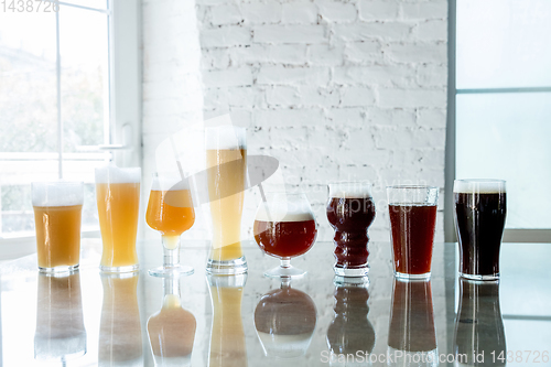Image of Glasses of different kinds of beer, time for oktoberfest