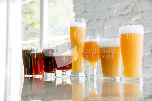 Image of Glasses of different kinds of beer, time for oktoberfest