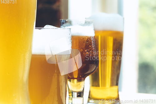 Image of Glasses of different kinds of beer, time for oktoberfest