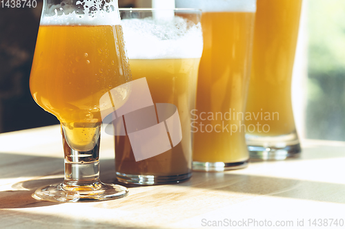 Image of Glasses of different kinds of beer, time for oktoberfest