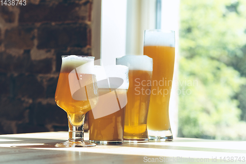 Image of Glasses of different kinds of beer, time for oktoberfest