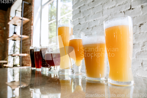 Image of Glasses of different kinds of beer, time for oktoberfest