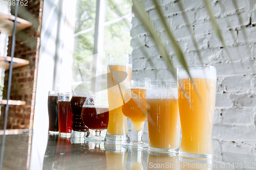 Image of Glasses of different kinds of beer, time for oktoberfest