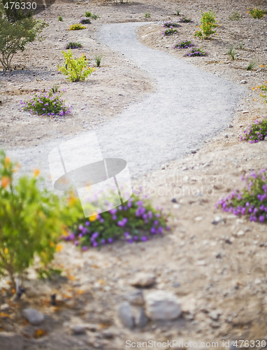 Image of desert path 