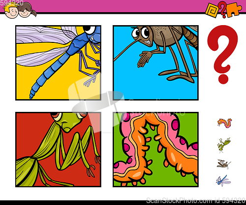 Image of activity game with insects