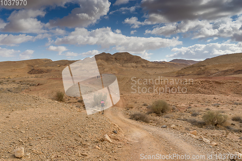 Image of Trekking in Negev dramatic stone desert, Israel 