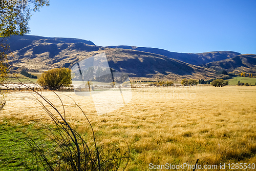 Image of Mountain fields landscape in New Zealand