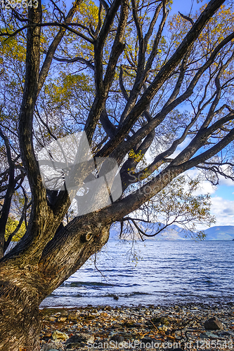 Image of Lake Wakatipu, New Zealand