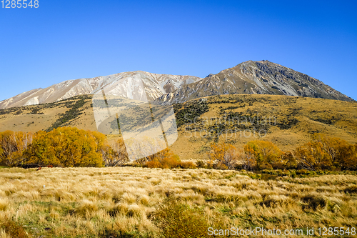 Image of Mountain fields landscape in New Zealand