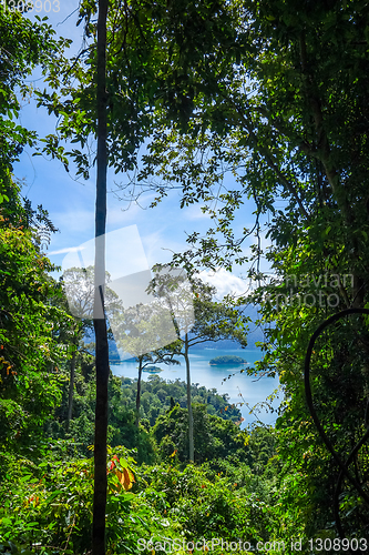 Image of Cheow Lan Lake jungle landscape, Khao Sok, Thailand