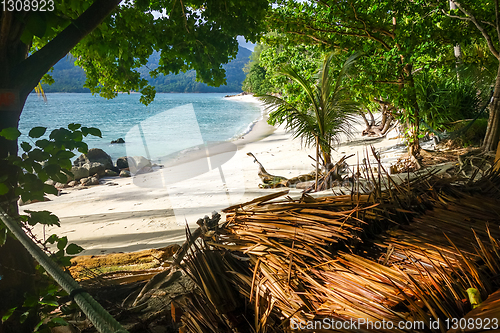 Image of Tropical beach in Koh Lipe, Thailand