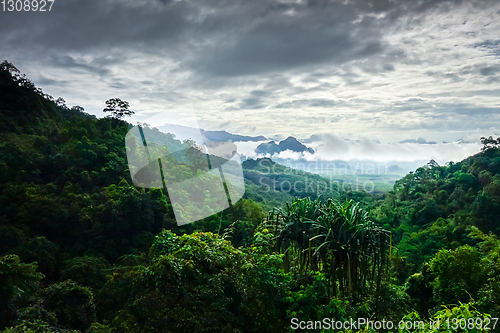 Image of Khao Sok National Park landscape, Thailand