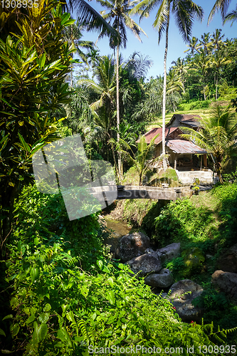 Image of Bridge in Gunung Kawi temple, Ubud, Bali, Indonesia