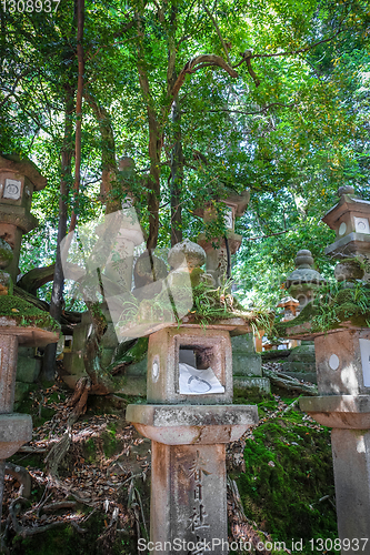 Image of Kasuga-Taisha Shrine lanterns, Nara, Japan