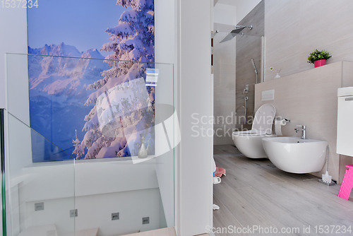 Image of luxury stylish bathroom interior