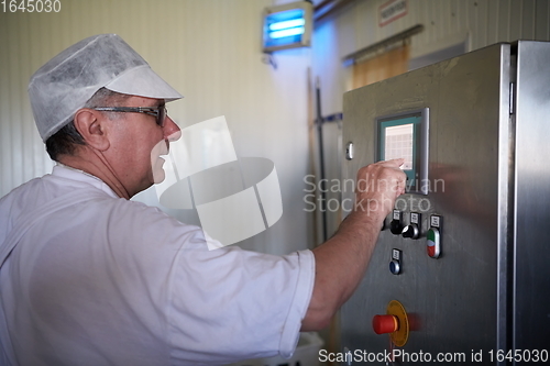Image of Cheese production cheesemaker working in factory