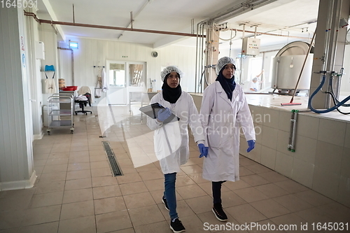 Image of business woman team in local cheese production company