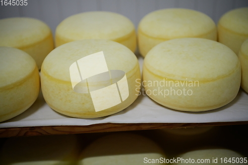 Image of Cheese factory production shelves with aging old cheese