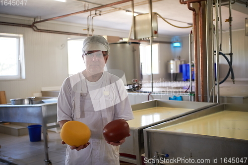 Image of Cheese production cheesemaker working in factory