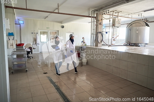 Image of business woman team in local cheese production company