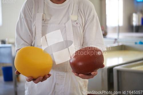 Image of Cheese production cheesemaker working in factory