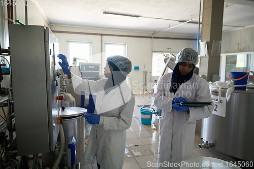 Image of business woman team in local cheese production company