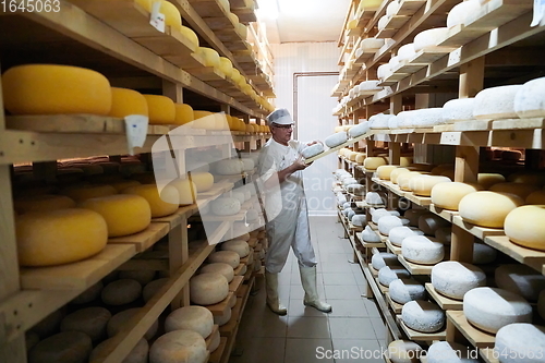 Image of Cheese maker at the storage with shelves full of cow and goat cheese