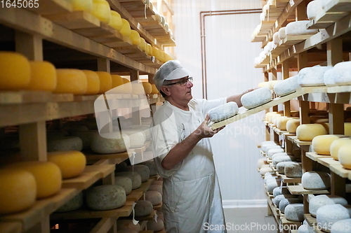 Image of Cheese maker at the storage with shelves full of cow and goat cheese