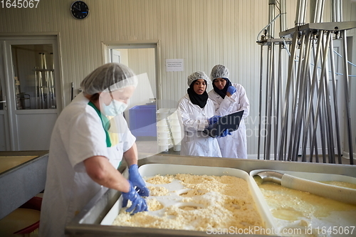 Image of Workers preparing raw milk for cheese production