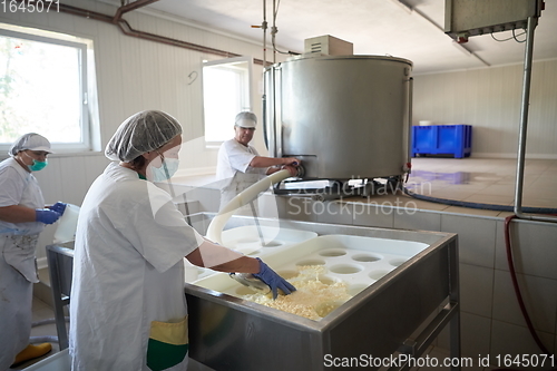 Image of Workers preparing raw milk for cheese production