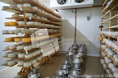 Image of Cheese factory production shelves with aging old cheese