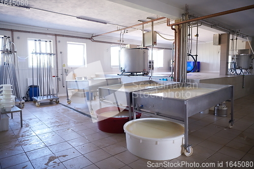 Image of Cheese factory production shelves with aging old cheese