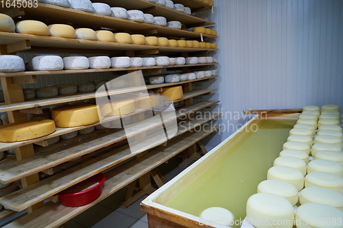 Image of Cheese factory production shelves with aging old cheese