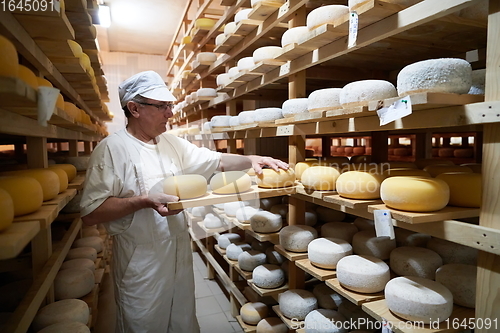 Image of Cheese maker at the storage with shelves full of cow and goat cheese