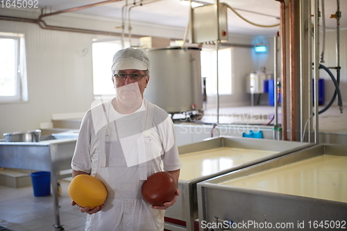 Image of Cheese production cheesemaker working in factory