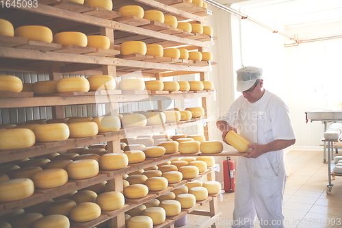 Image of Cheese maker at the storage with shelves full of cow and goat cheese