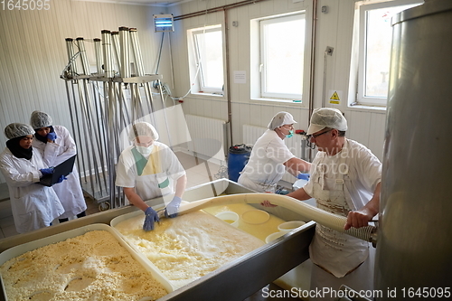 Image of Workers preparing raw milk for cheese production