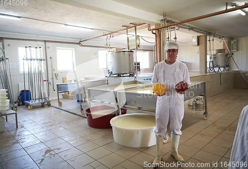 Image of Cheese production cheesemaker working in factory