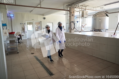 Image of business woman team in local cheese production company