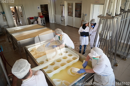 Image of Workers preparing raw milk for cheese production