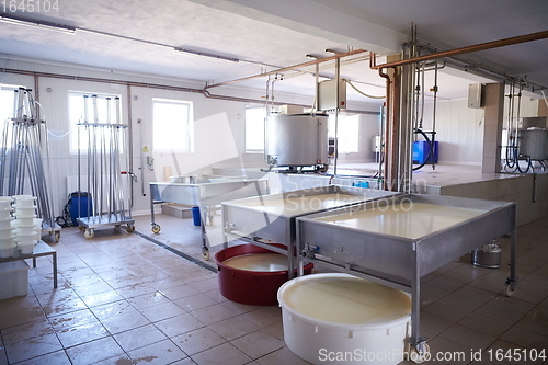 Image of Cheese factory production shelves with aging old cheese