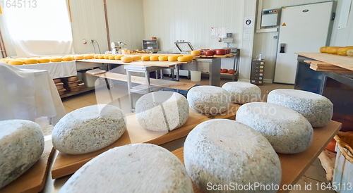 Image of Cheese factory production shelves with aging old cheese