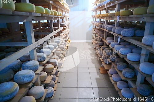 Image of Cheese factory production shelves with aging old cheese