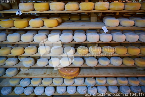 Image of Cheese factory production shelves with aging old cheese