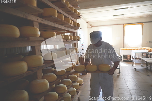 Image of Cheese maker at the storage with shelves full of cow and goat cheese