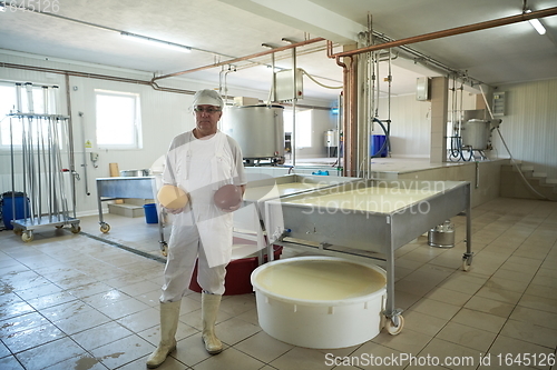 Image of Cheese production cheesemaker working in factory