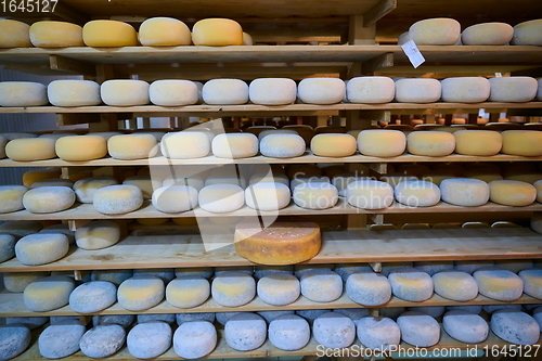 Image of Cheese factory production shelves with aging old cheese